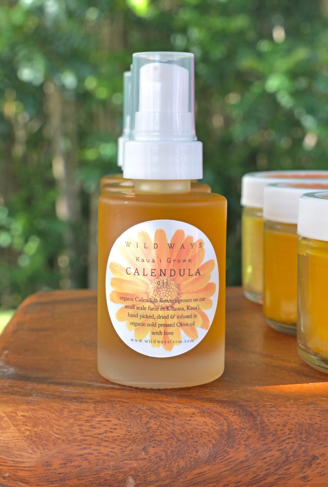 Calendula Oil