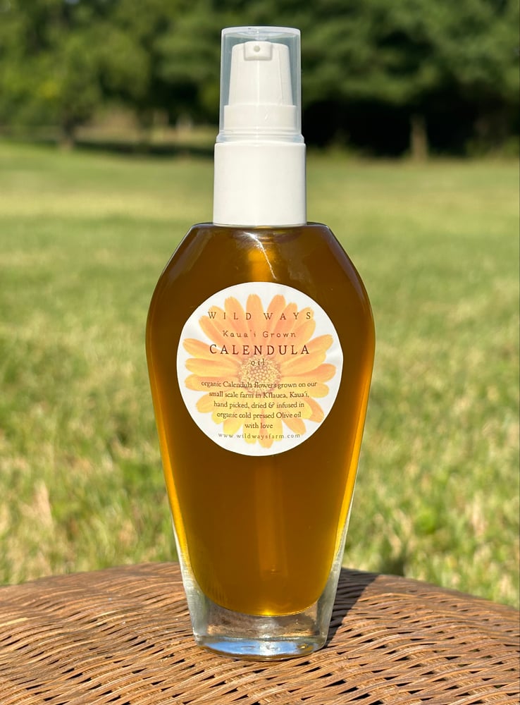 Calendula Oil