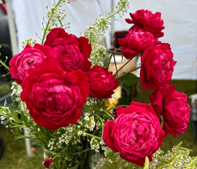 Lokelani Rose Petals