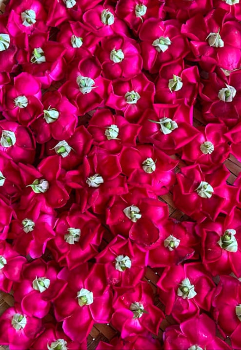 Lokelani Rose Petals