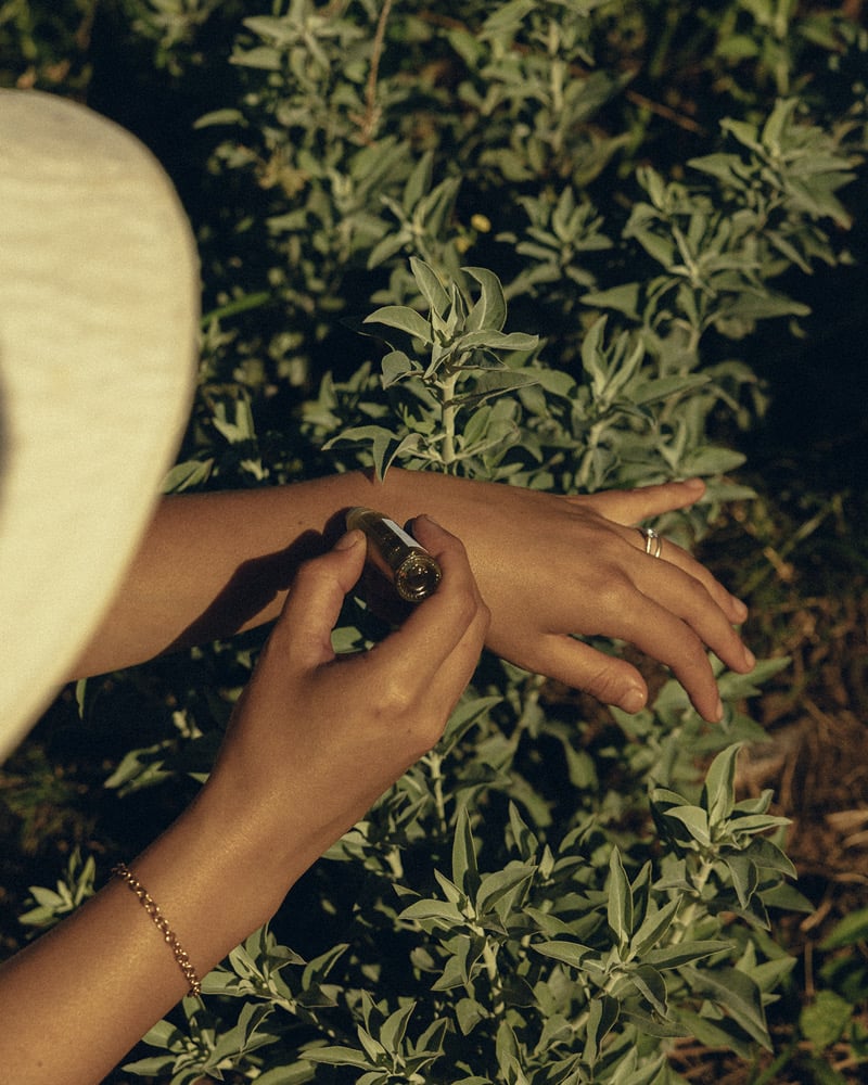 White Sage Anointing Oil